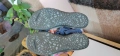 Сандали Merrell 41 н. Естествена кожа, снимка 11