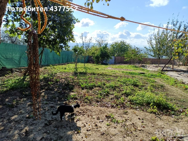 Продавам къща в село Черни Бряг, община Антоново, 64 кв.м с двор, снимка 8 - Къщи - 54828963