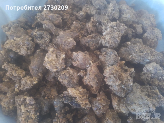 Пчелен Клей (Прополис) 700 грама, снимка 4 - Други - 55161177