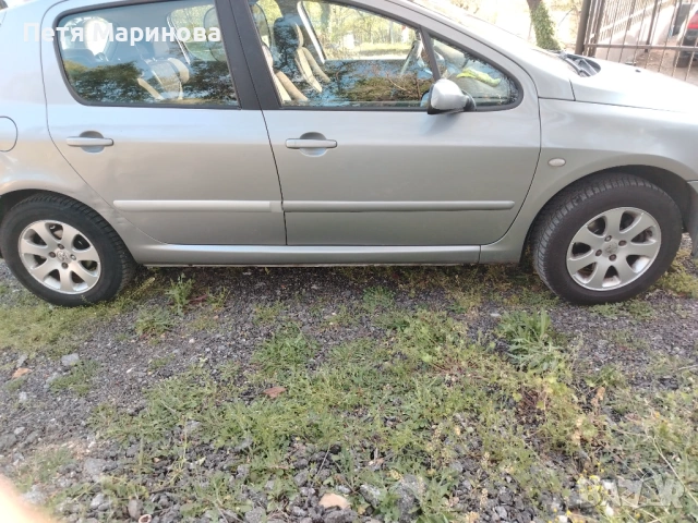 Peugeot 307   2.0, снимка 3 - Автомобили и джипове - 54556528