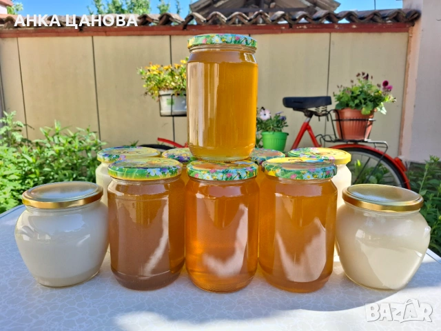 Пчелен мед реколта 2026, снимка 2 - Пчелни продукти - 54731573