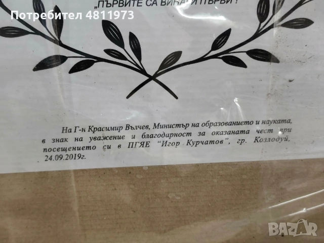 Картина портрет на Игор Курчатов, снимка 7 - Колекции - 55187205