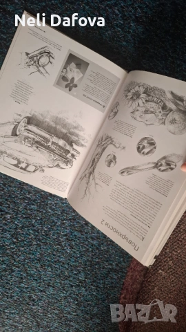 Изкуството да рисуваш - енциклопедия наръчник за рисуване, снимка 4 - Енциклопедии, справочници - 53958122