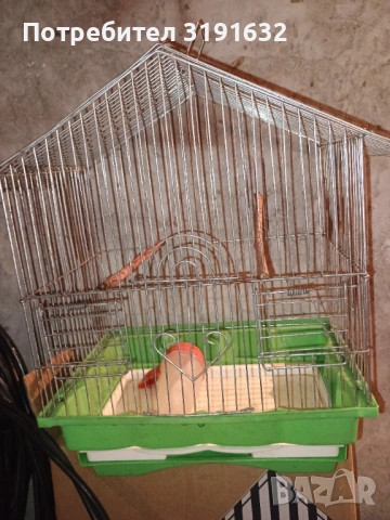 Клетка