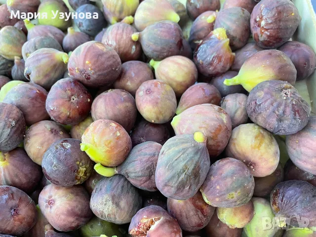 Смокини за ракия, снимка 2 - Домашни продукти - 55611610