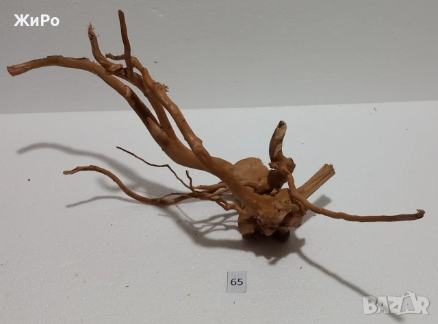 Корен от Азалия /декорация/ 65, снимка 2 - Други - 54102447