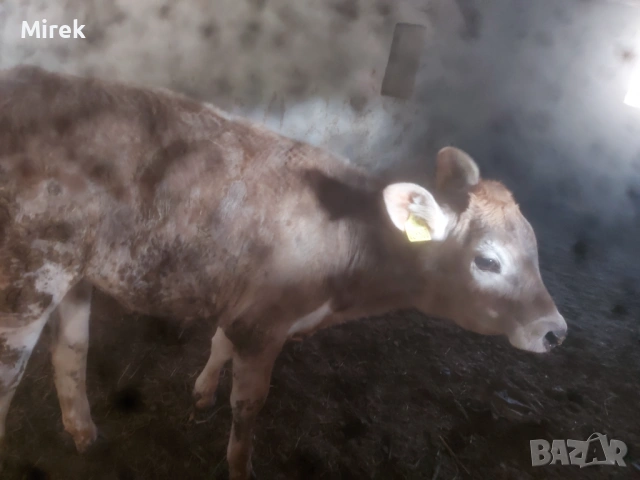 за продажба