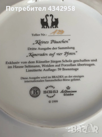 Колекционерски порцеланови декоративни чинии Seltmann Weiden – Jürgen Scholz (1999 ,2000 г)., снимка 7 - Антикварни и старинни предмети - 55078993