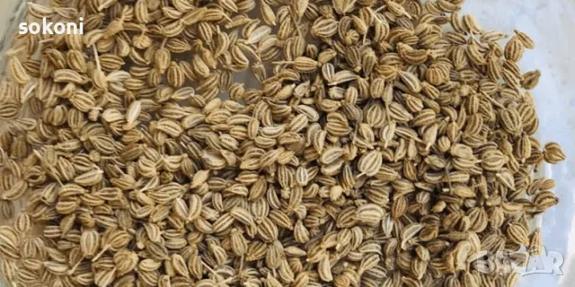 Ajwain / Аджван Семена 100гр 
