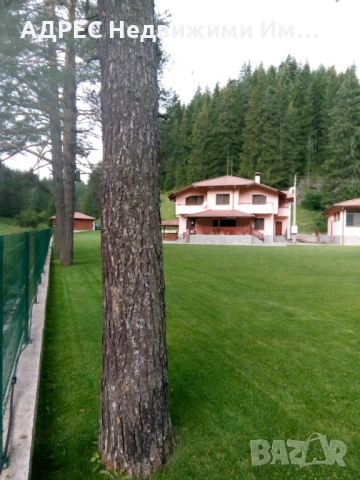 Продава, къща/вила, с.Борино, обл.Смолян, снимка 3 - Къщи - 54930609