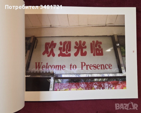 Комедия от преводи / Chinglish. Found in Translation, снимка 3 - Енциклопедии, справочници - 54244405