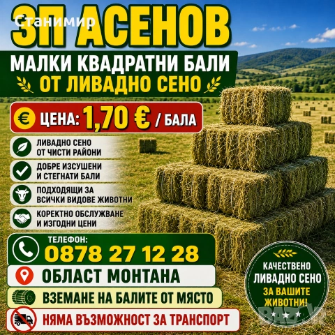 Бали ливадно сено 