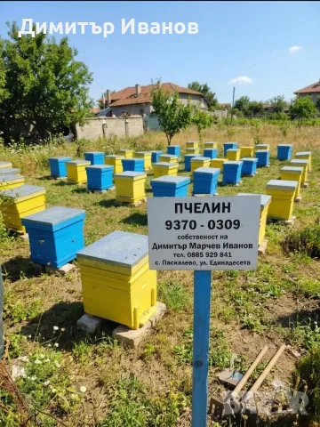 Пчелен мед Букет , снимка 3 - За пчели - 52142828