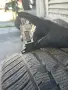Продавам комплект 19” AMG джанти+ гуми дот 25 , снимка 1