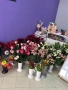 Букети и цветя!, снимка 3