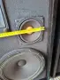 Тонколони български, снимка 4