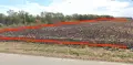 Продава ПАРЦЕЛ, обл Добрич. общ Балчик, село Царичино, 11310 м2, снимка 4