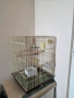 Продавам папагал Александър – мъжки + нова клетка, снимка 6