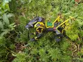 Mu Online 3D Figure Fenrir, снимка 2