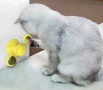 🔴Интерактивна въртяща се играчка за котки - вятърна мелница!🔴, снимка 7
