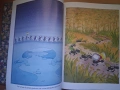 4 италиански книжки за деца, снимка 8
