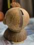 Кокосова касичка, снимка 3
