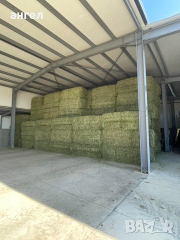 Големи бали люцерна , снимка 2 - За селскостопански - 54347429