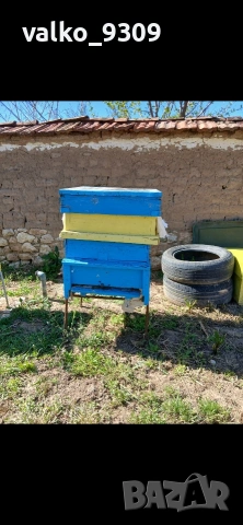 Пчелни семейства 12р