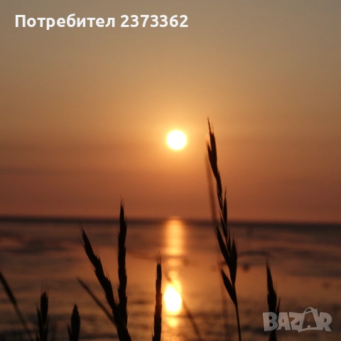 Sony QX100 - фото модул /камера , снимка 11 - Фотоапарати - 54374832