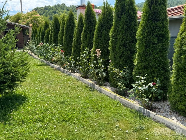 Къща за гости МЕДИНА , снимка 8 - Селски туризъм и култура - 54488359