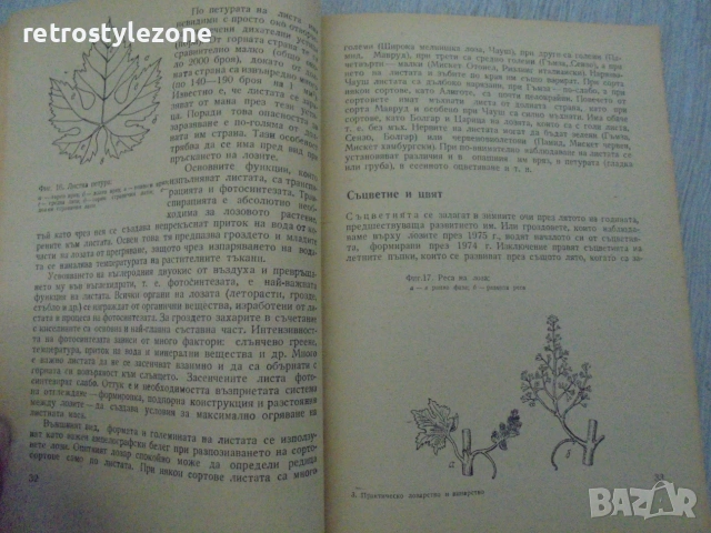 № 8672 Стара книга"Практическо лозарство и винарство" , снимка 3 - Други - 55136584