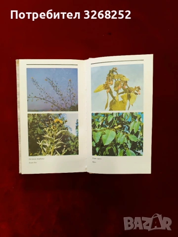 Книга за Билките , снимка 5 - Специализирана литература - 55173828