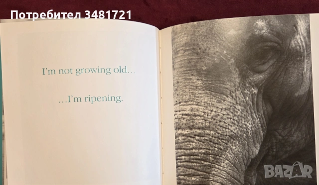 Млад по душа / Young at Heart. Keeping a Youthful Sense of Fun, снимка 6 - Други - 55064696