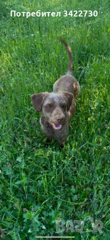 Лагото ромоньоло , снимка 4 - Други - 53969260