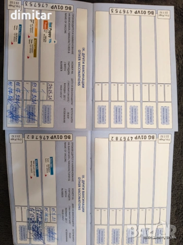 Продавам чистокръвни Кане Корсо , снимка 11 - Кане корсо - 54082936