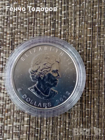 Сребърна монета 1oz - Дивите животни на Канада - Пума, снимка 2 - Нумизматика и бонистика - 55379129