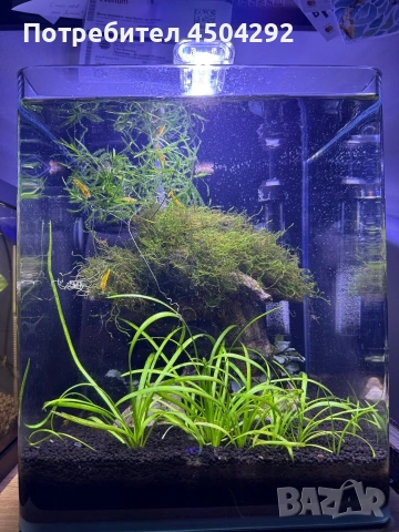 Продавам два аквариума Ciano 60 черен и Dennerle Nano Cube 20L LED с пълно оборудване и консумативи, снимка 2 - Аквариуми - 55085214