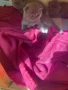 Продавам шотландски клепоухи малки котенца 😻, снимка 7