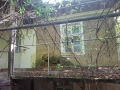 Къща в село Дединци, снимка 3