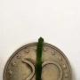 бг 20 от 1999г, снимка 3