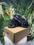!НОВИ! Nike Air Max Scorpion | Triple Black | + КУТИЯ, снимка 7