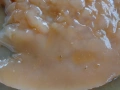 Оцетна гъба, снимка 3