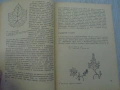 № 8672 Стара книга"Практическо лозарство и винарство" , снимка 3