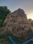Бали сено продавам, снимка 5