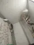 Японски амадини. , снимка 3