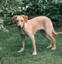 Момче и  момиче, снимка 17