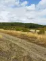 Широколистна гора 14,800 дка в землището на с. Злати Войвода, общ. Сливен, снимка 2