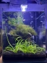 Продавам два аквариума Ciano 60 черен и Dennerle Nano Cube 20L LED с пълно оборудване и консумативи, снимка 2