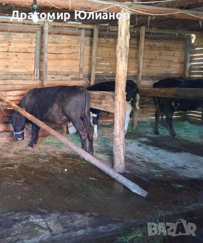 Продават се 