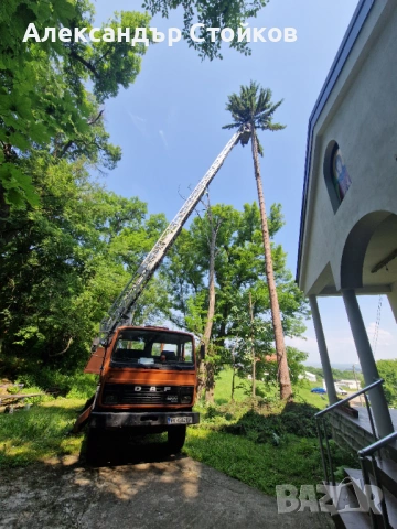 Рязане и кастрене на дървета с автовишка